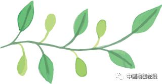 每天30分钟，免费听名师大咖聊瑜伽（新增老师）