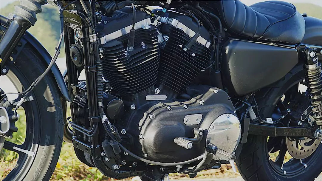 小姐姐为啥大爱硬汉？请看哈雷给出的答案