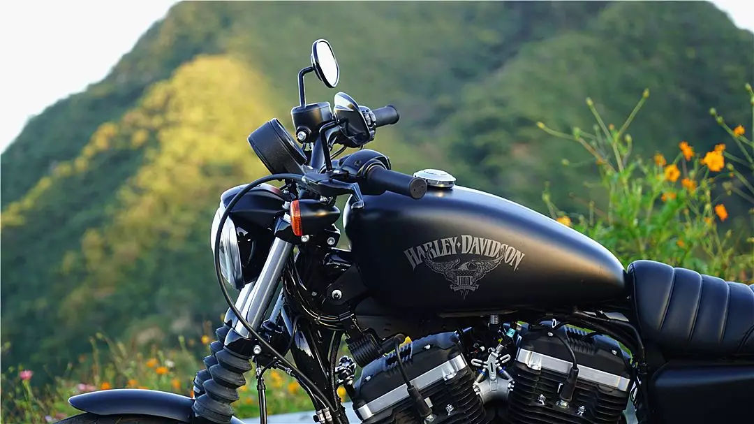 小姐姐为啥大爱硬汉？请看哈雷给出的答案