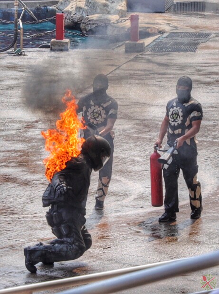 广州长隆4大乐园几天可以耍完,广州长隆野生动物世界国庆门票