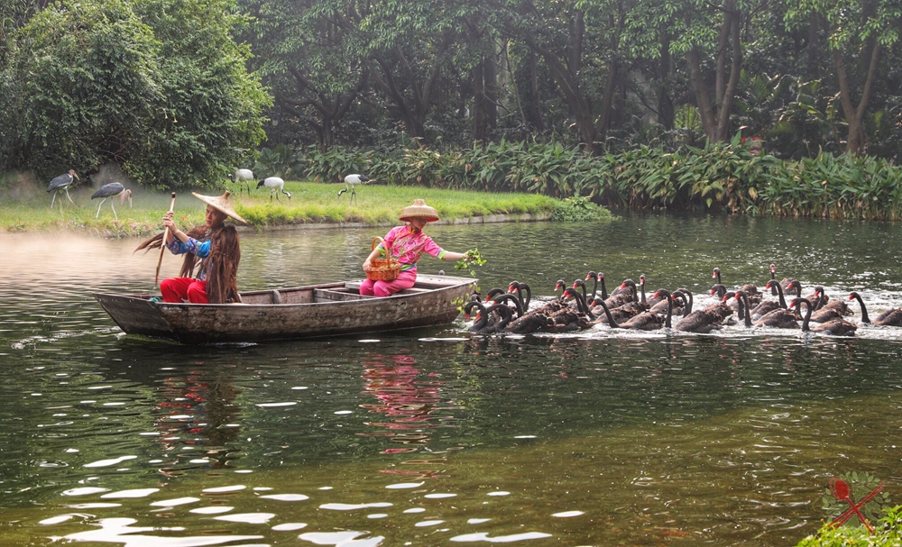 广州长隆4大乐园几天可以耍完,广州长隆野生动物世界国庆门票