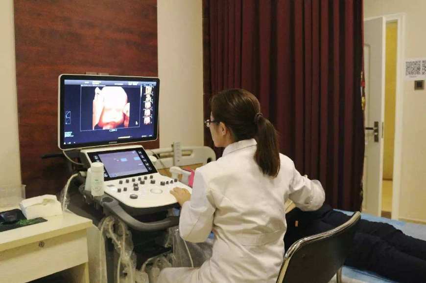 备孕补充什么提高智力,备孕补充什么营养素卵泡发育健康