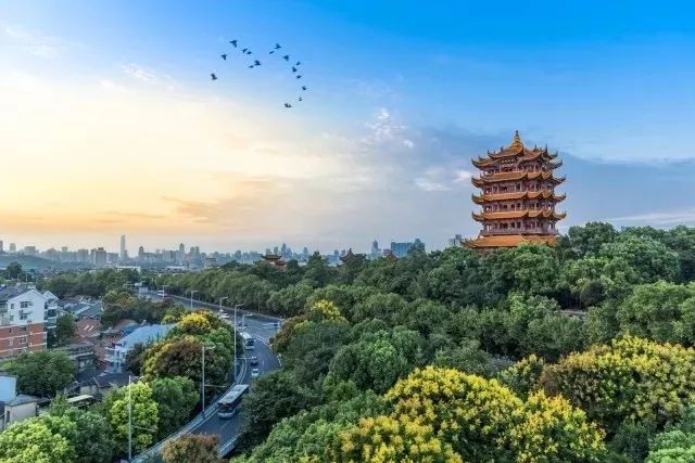 以华中师大为坐标原点，丈量大武汉