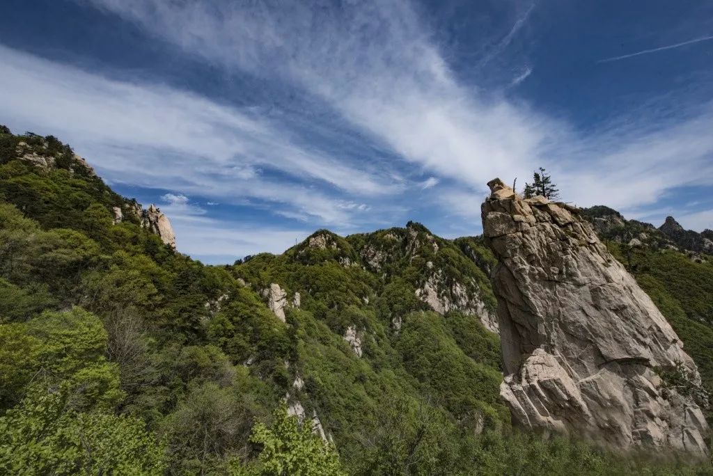 郑州出发自驾最美路线,郑州周边最美的自驾公路