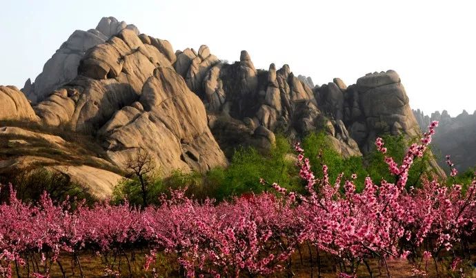 郑州出发自驾最美路线,郑州周边最美的自驾公路