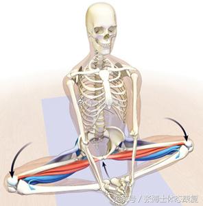 运动康复主诉,锻炼后肌肉酸疼怎么快速恢复