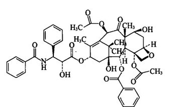 每日1药之紫杉醇（Paclitaxel）