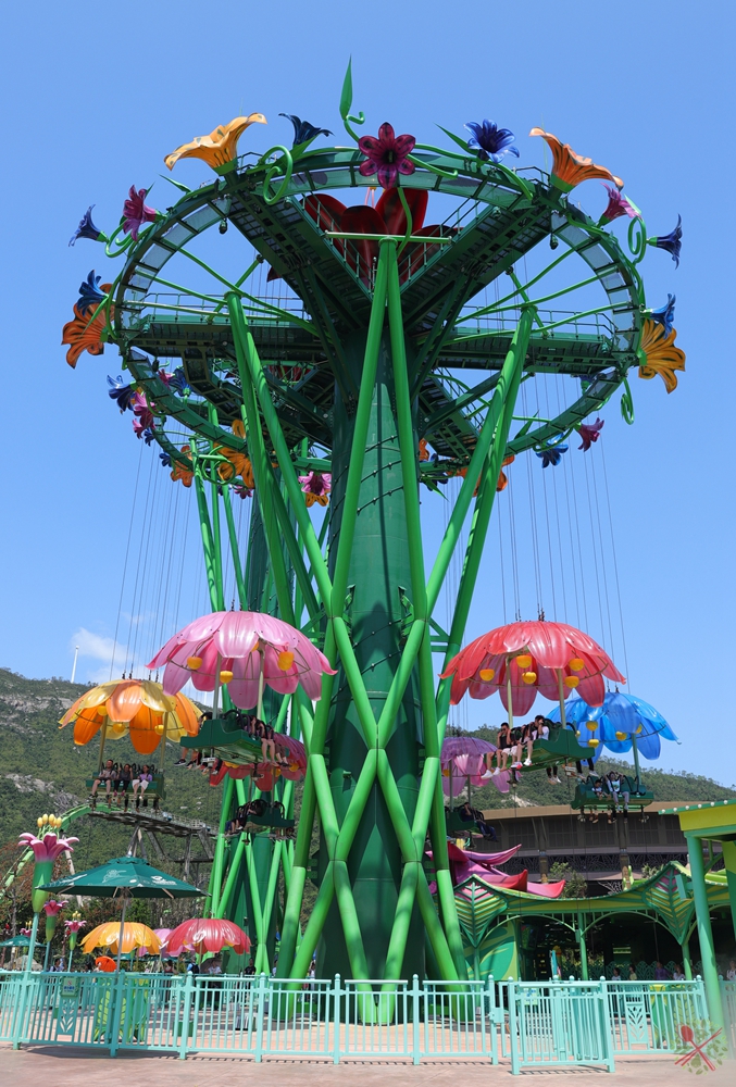 珠海长隆海洋王国企鹅三天两晚,珠海长隆海洋王国企鹅北极熊