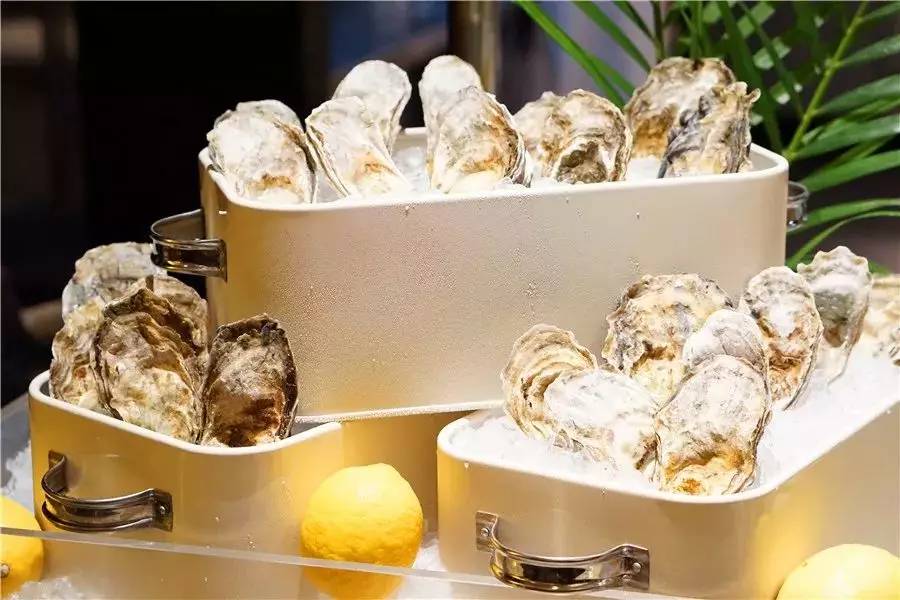 生蚝能当饭吃吗,生蚝当饭吃