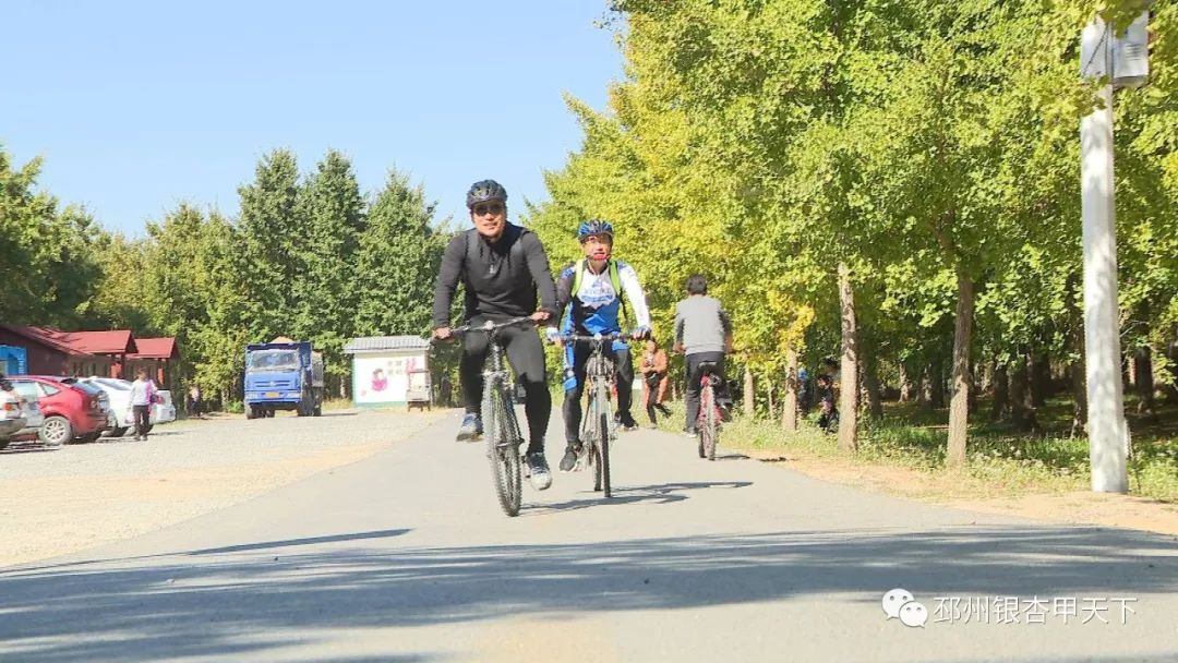 国庆假期去哪玩？邳州这6处景点少走一处都是遗憾！