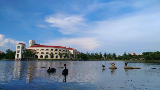 范冰冰是北京电影学院毕业的吗,范冰冰大学毕业于哪所学校