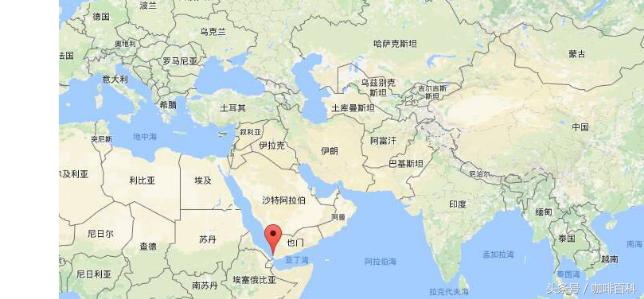 小白去咖啡店怎么点咖啡,小白怎样去操作咖啡店