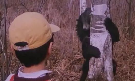 十部顶级神作9.5评分电影科幻,10部精彩科幻电影推荐