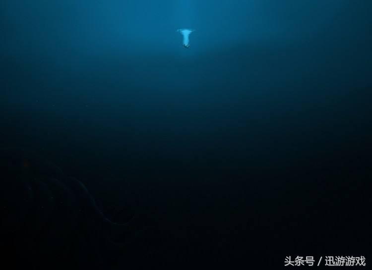 疯子和天才的结合,疯子和天才的合体