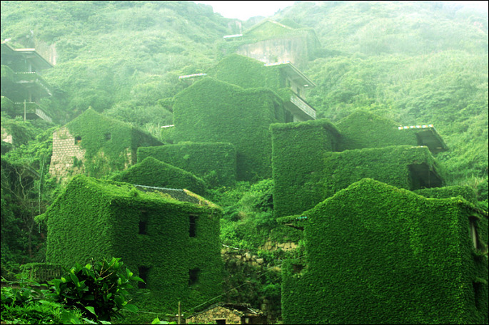 适合带着去旅行的宠物,宠物旅行攻略如何带宠物出门旅游