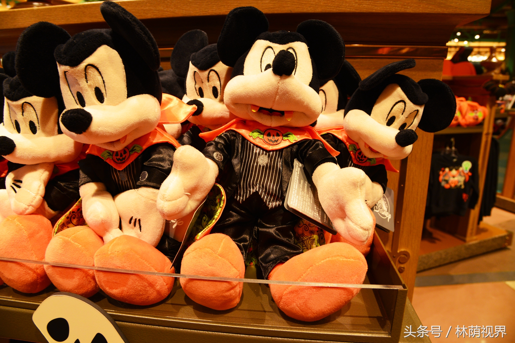 上海深度一日游,浦东金桥镇一日游