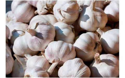新大蒜怎么做美味的佐料,多的大蒜可以做成什么