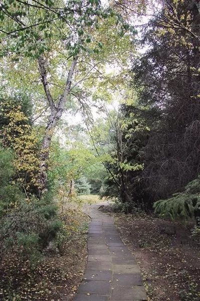 呼和浩特哪个沟秋景好,呼和浩特红石崖秋景