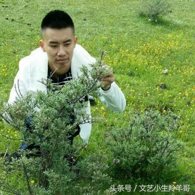 没读过书的人该读什么书,没读过书的人该怎么自学