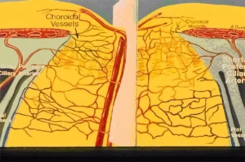 鼻咽癌放疗后视力下降,鼻咽癌放疗后视力模糊怎么治疗
