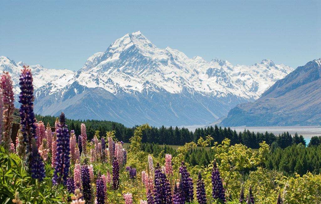 新西兰一个风景如画的国家,新西兰风景绿色