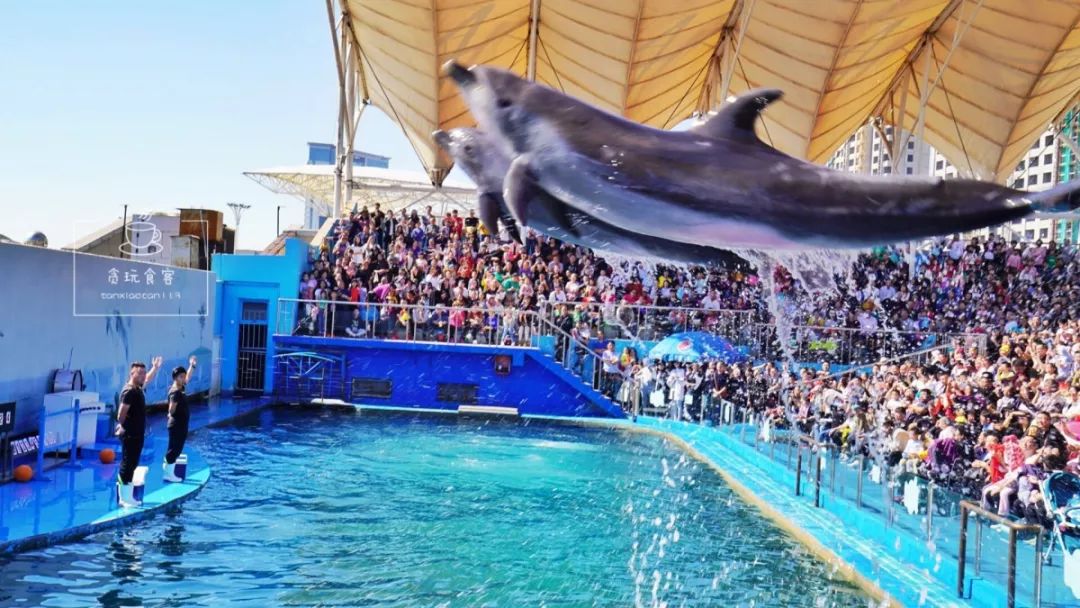 秦皇岛夜景海滩表演,秦皇岛北戴河风景区游玩攻略