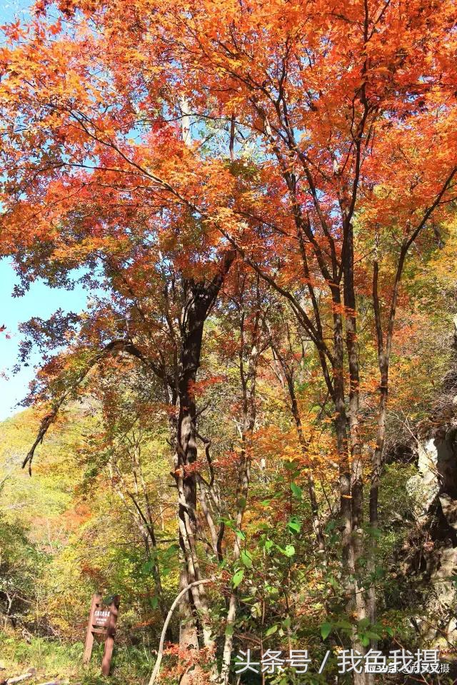 佳能ef35mm1.4l一代,置换佳能5d3