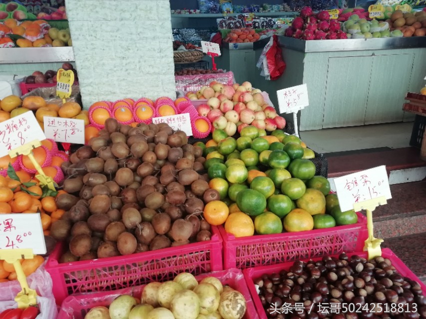 水果批发零售店赚钱吗,现在水果生意好做吗