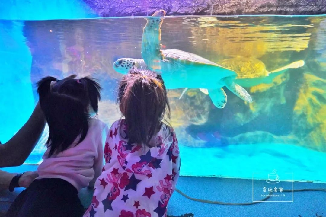 秦皇岛北戴河最值得玩5个地方,秦皇岛北戴河好玩的地方免费