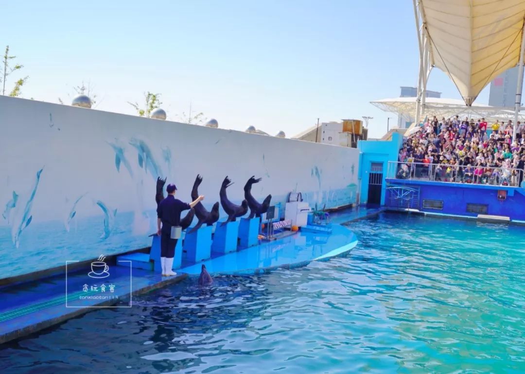 秦皇岛北戴河区必玩的十大景点,秦皇岛北戴河旅游详细攻略