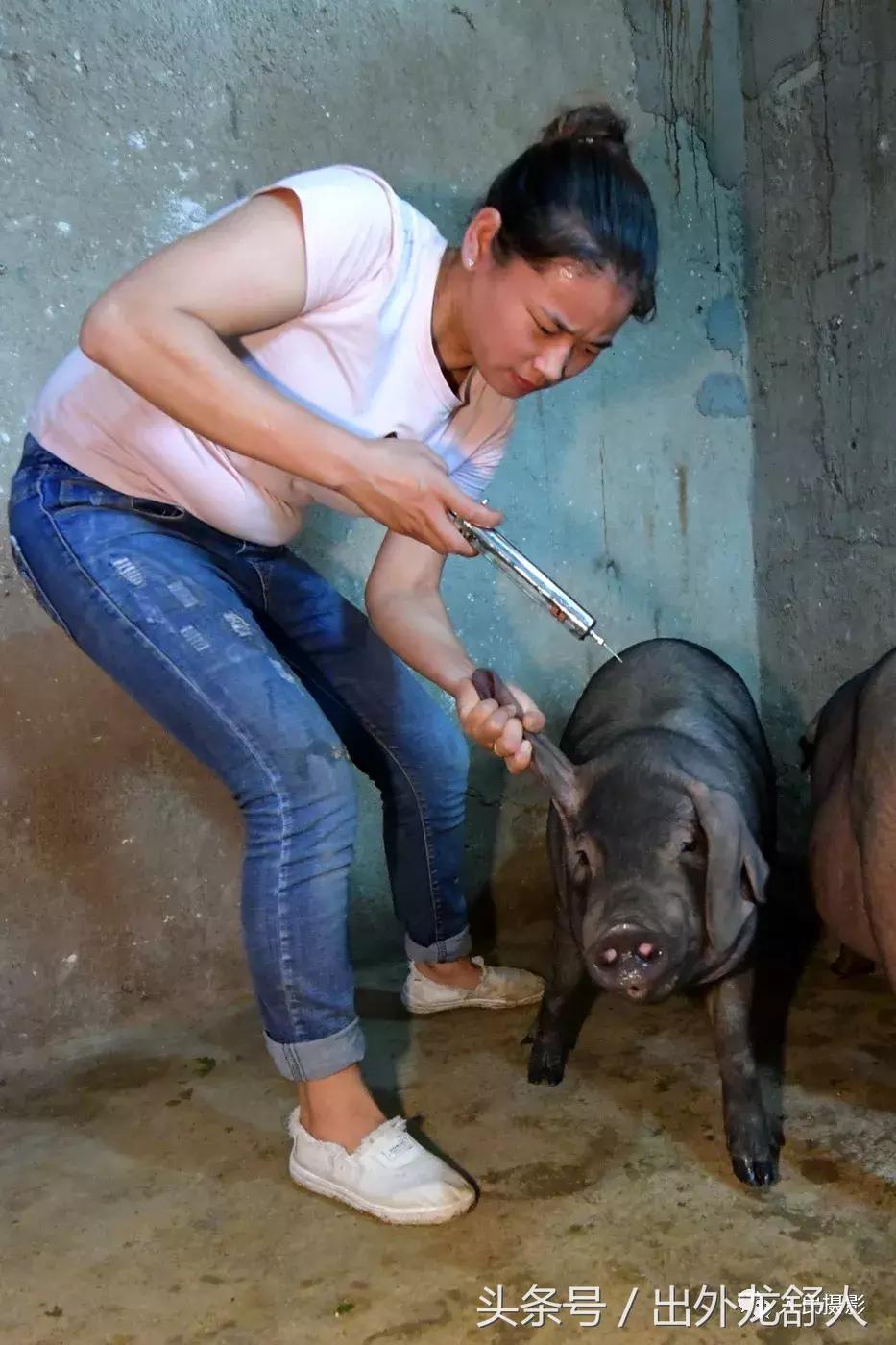 安徽舒城：照片感动无数人！获全国首届孝老爱亲摄影大赛一等奖