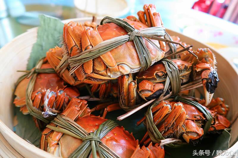 去阳澄湖吃大闸蟹一日游10月份,去阳澄湖吃大闸蟹一日游蟹行天下