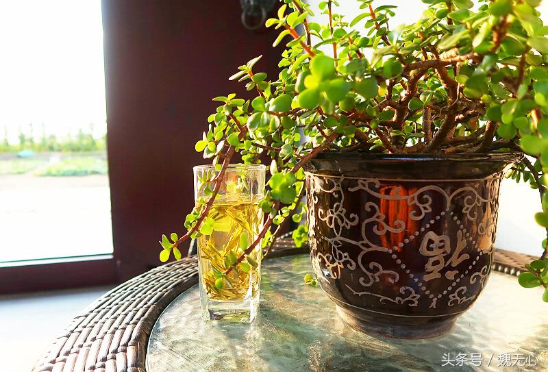 晚上去阳澄湖吃大闸蟹旅游攻略,去阳澄湖吃大闸蟹和游玩攻略