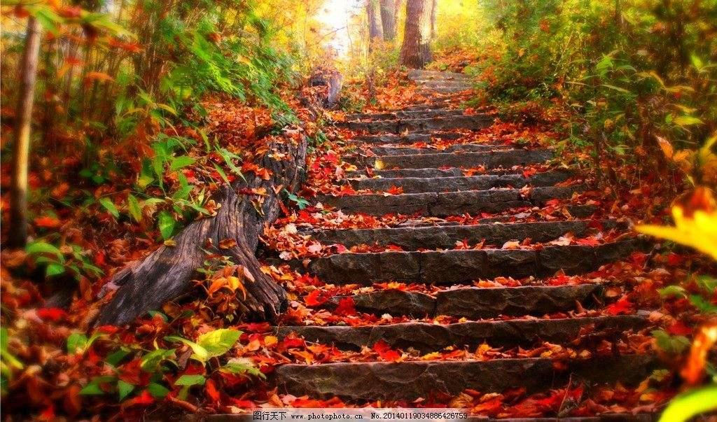 白朴的关于秋天的诗,白朴的关于秋天的诗句