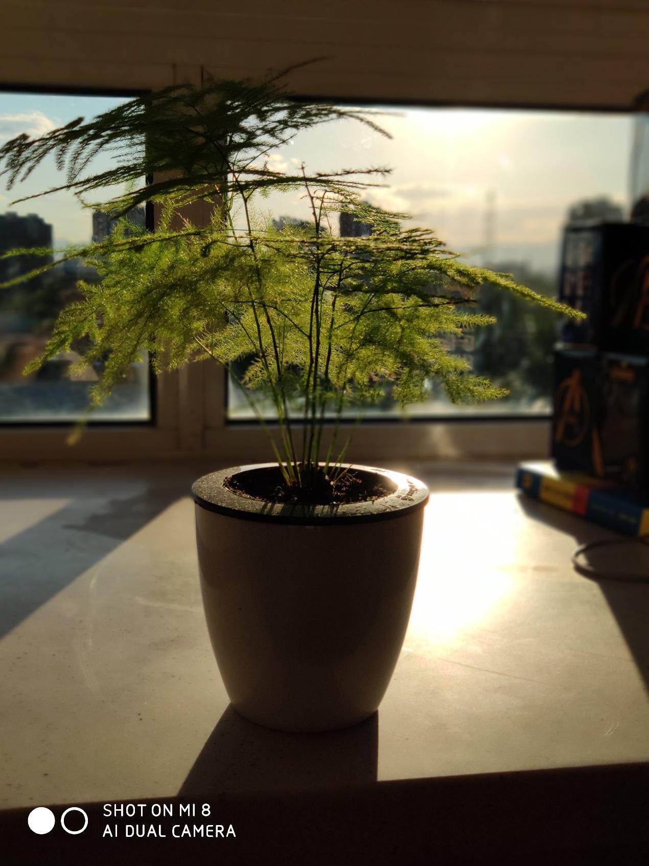 小米8评测小白测评,爱否科技评测小米8