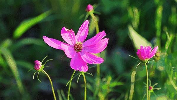 上海地铁3号线沿线美食,上海美食小吃一条街必打卡