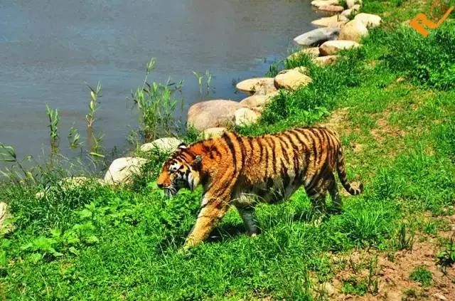 上海地铁的免费景点,上海地铁9号线沿线景点