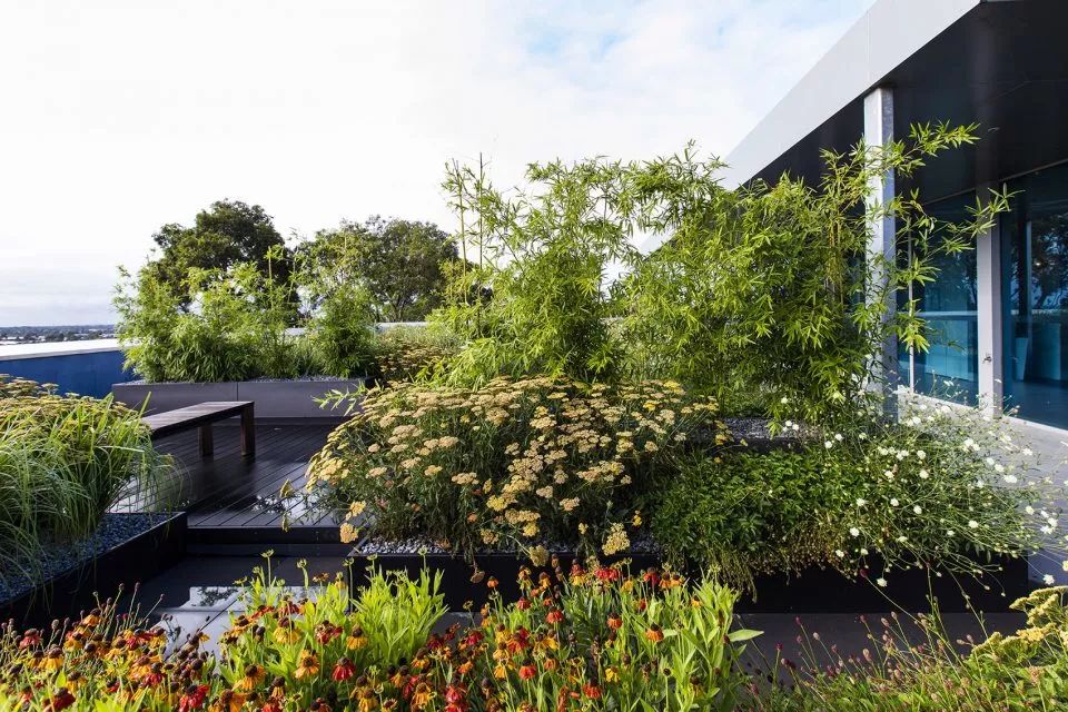 屋顶景观设计常见问题,设计园林的思路