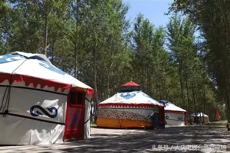 大庆这个城市未来会有发展吗,大庆哪个县发展潜力大