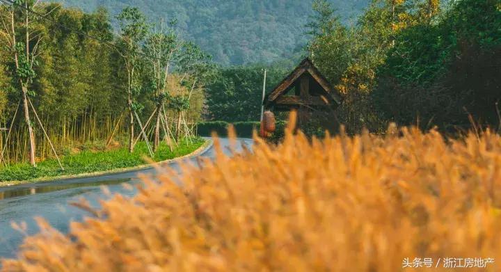 莫干山的“谿”字田又熟了，133㎡精装小独栋也来了！静绝尘氛！