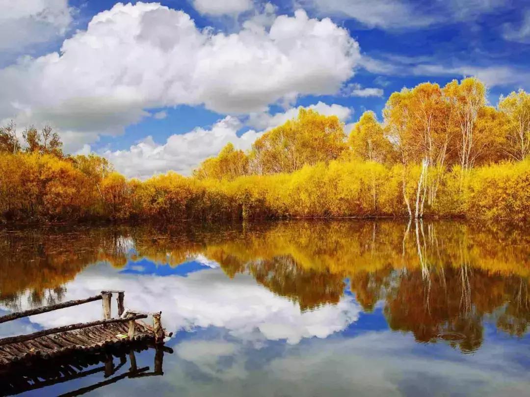 草原风光宛如油画 (呼伦贝尔大草原美图)