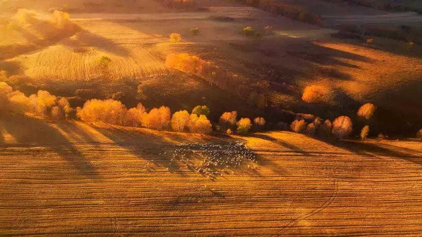草原风光宛如油画 (呼伦贝尔大草原美图)