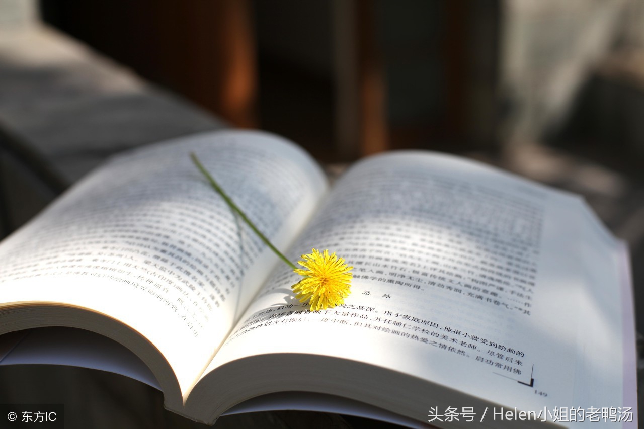 买书如山倒看书如抽丝图片,买书如山倒读书如抽丝下句怎么接