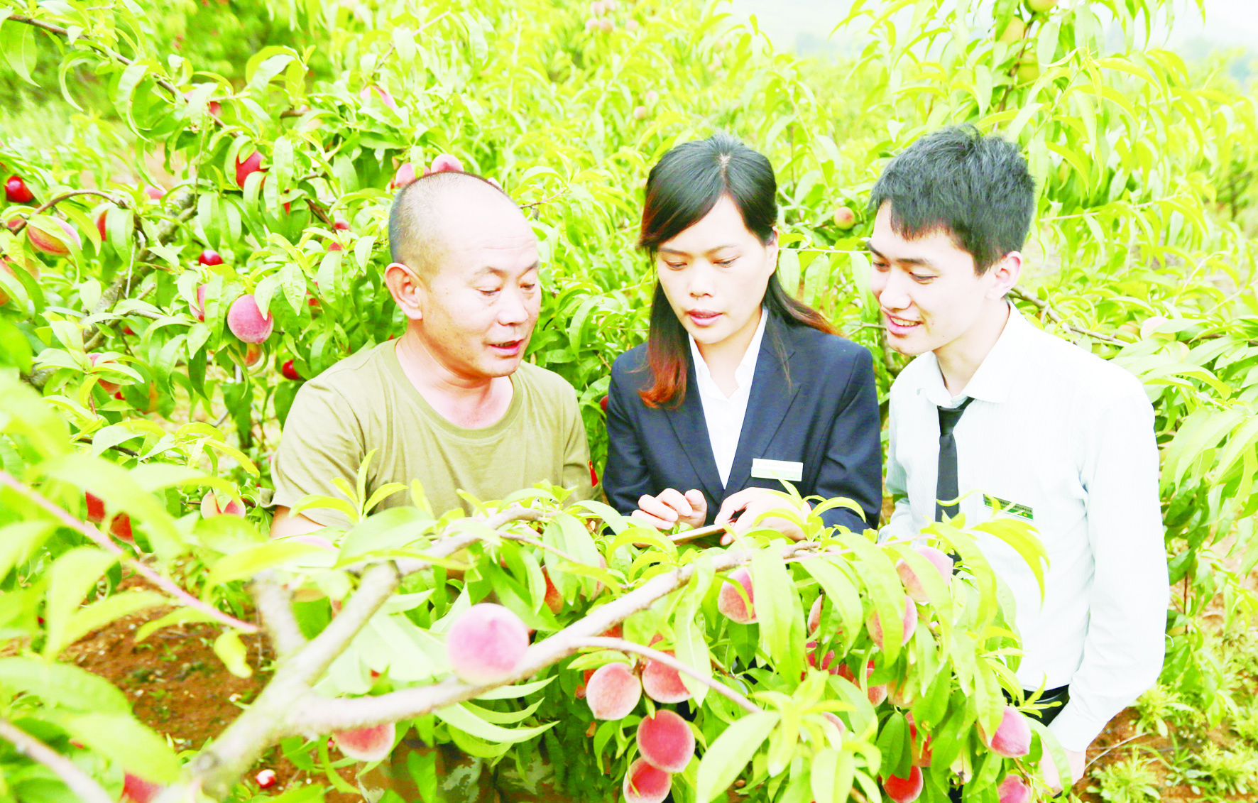 电商扶贫乡村振兴,电商扶贫助力农民生活