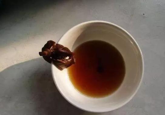 花儿生虫了用什么杀虫好,花儿生虫怎么办打什么药