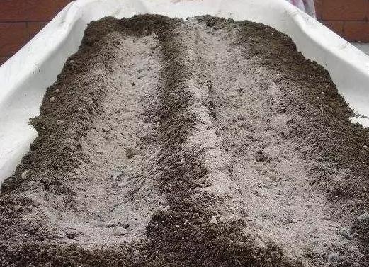 花儿生虫了用什么杀虫好,花儿生虫怎么办打什么药