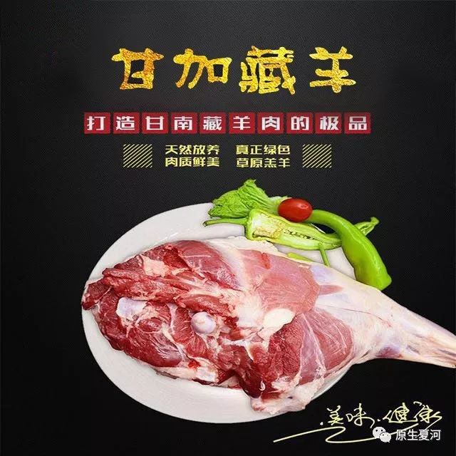 甘加藏羊哪个品种最好,藏羊是什么品种