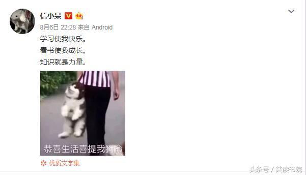 300w的锦鲤,300w锦鲤