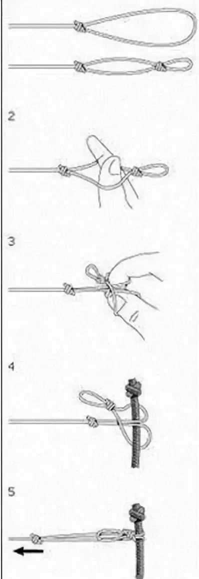 新手必看钓鱼小常识,微信最强钓鱼人新手攻略