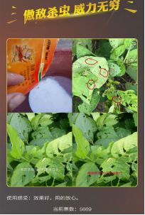 傲敌活动获奖名单公布